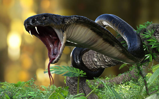 Detail King Cobra Wallpaper Nomer 2