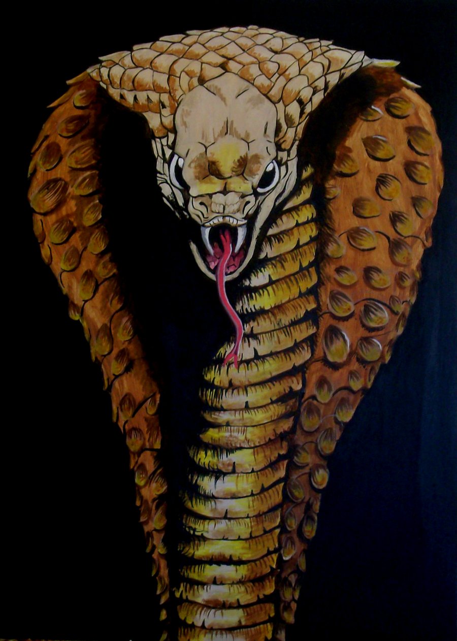 Detail King Cobra Wallpaper Nomer 16