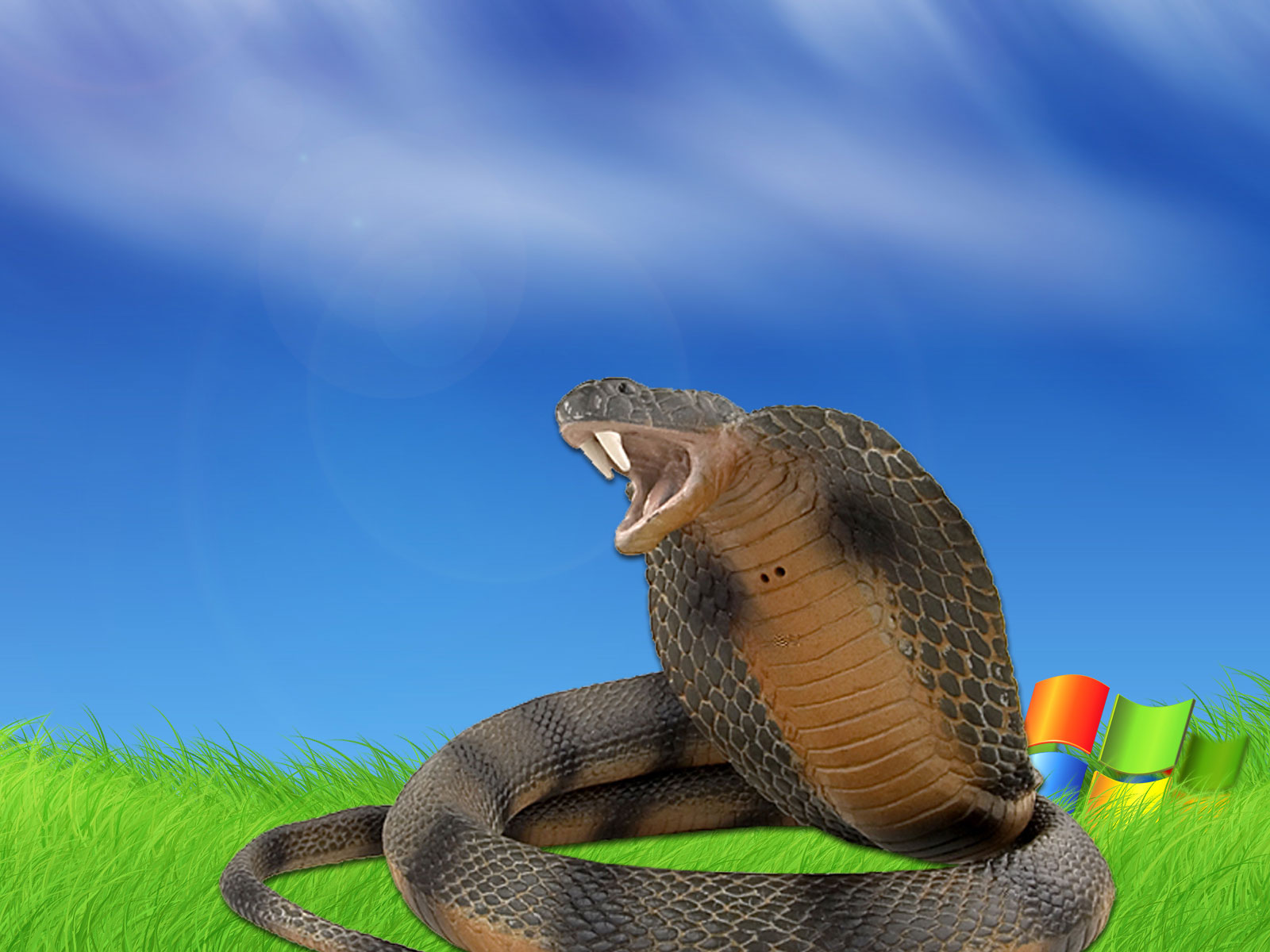 Detail King Cobra Wallpaper Nomer 22