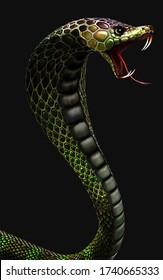 Detail King Cobra Wallpaper Nomer 35