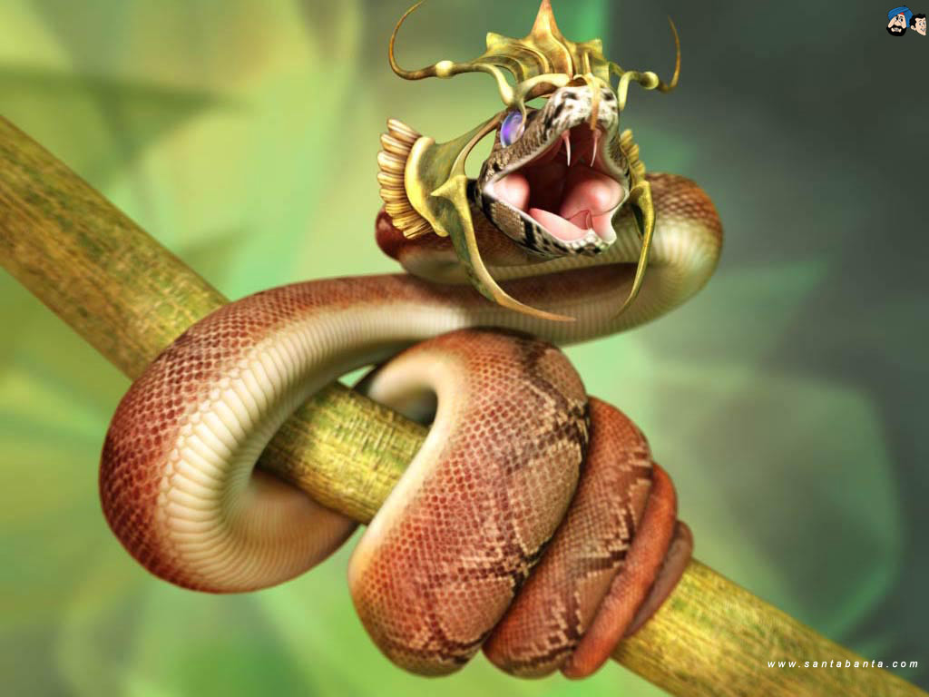 Detail King Cobra Wallpaper Nomer 51
