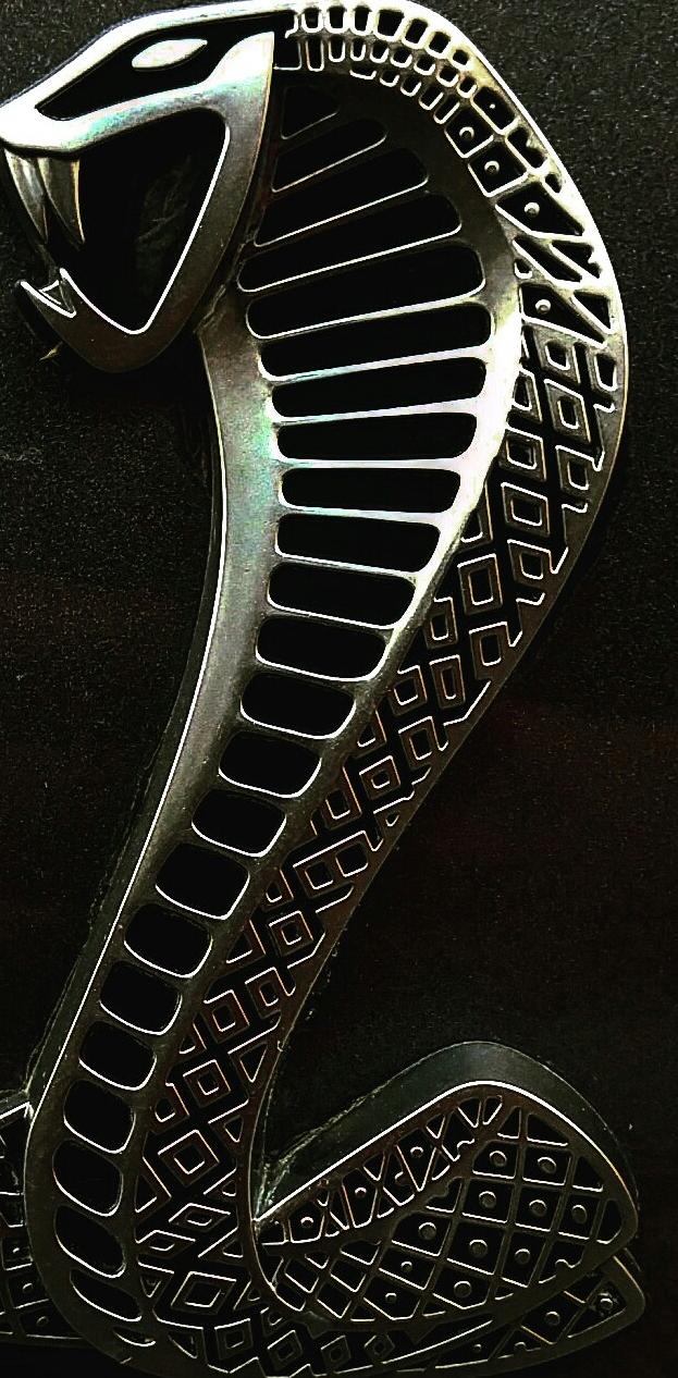 Detail King Cobra Wallpaper Nomer 56