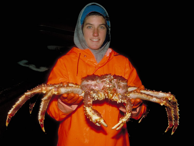 King Crab Images - KibrisPDR