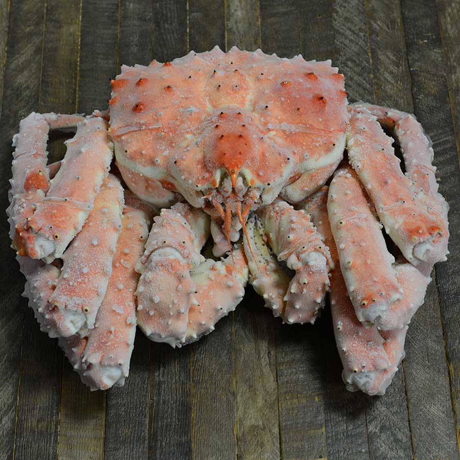 Detail King Crab Images Nomer 16