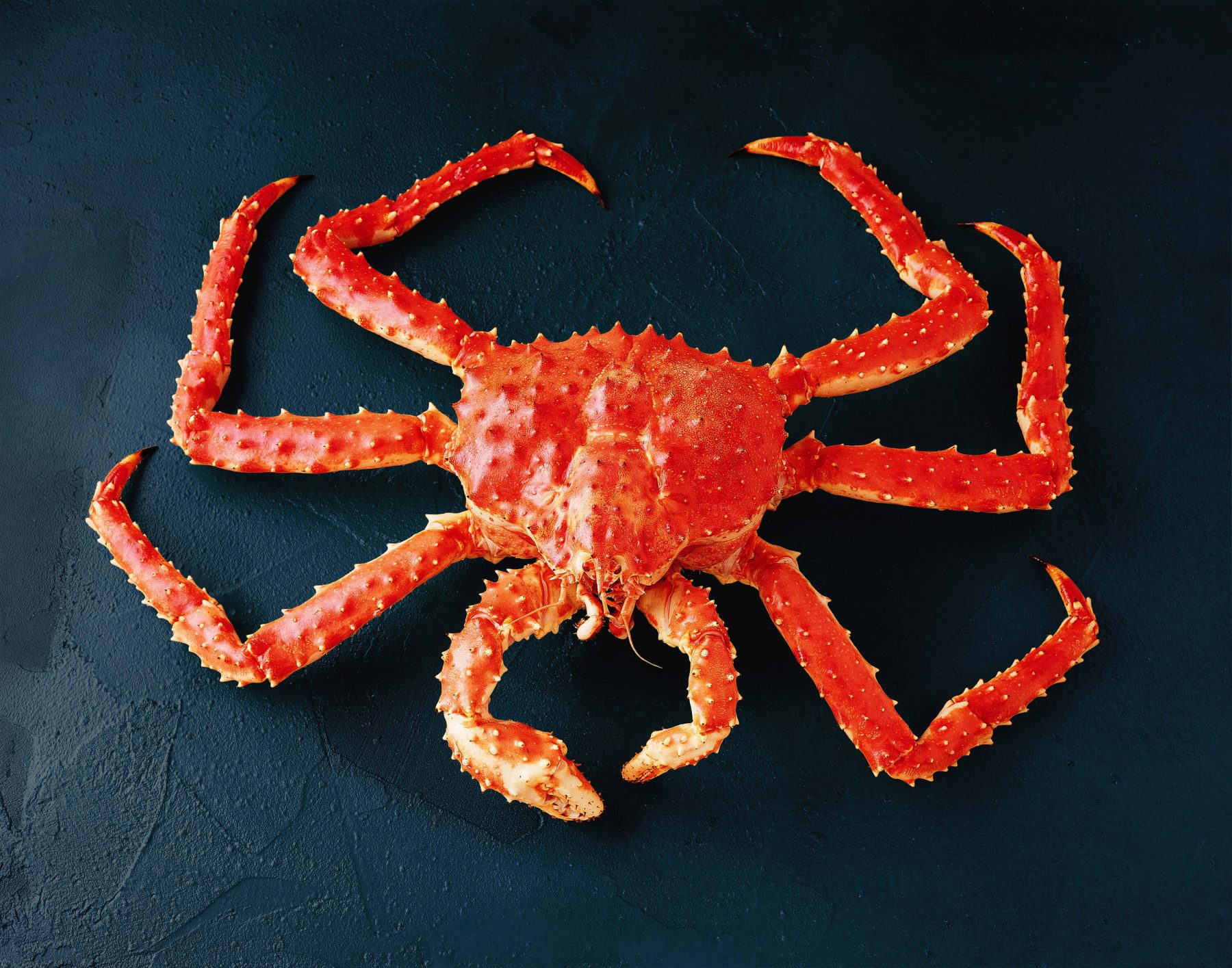 Detail King Crab Images Nomer 38