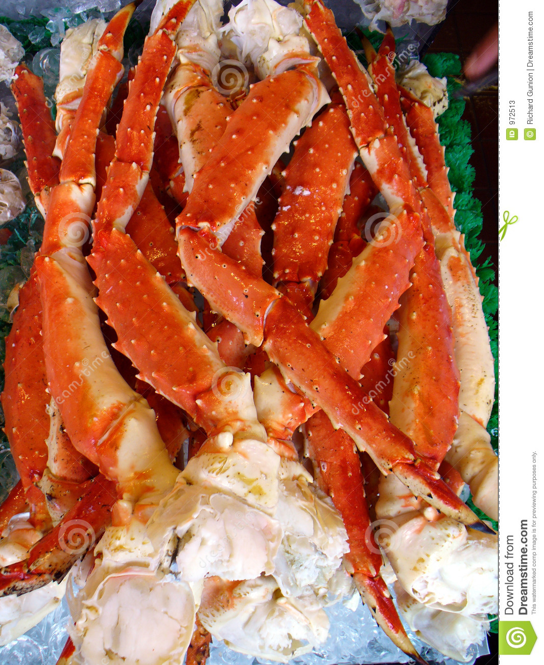 Detail King Crab Images Nomer 50