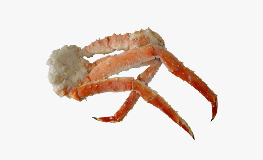 Detail King Crab Png Nomer 22
