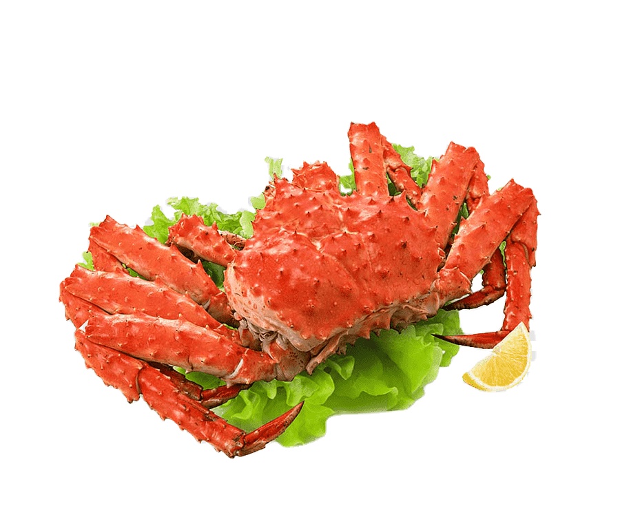 Detail King Crab Png Nomer 24