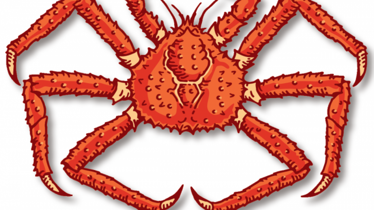 Detail King Crab Png Nomer 27
