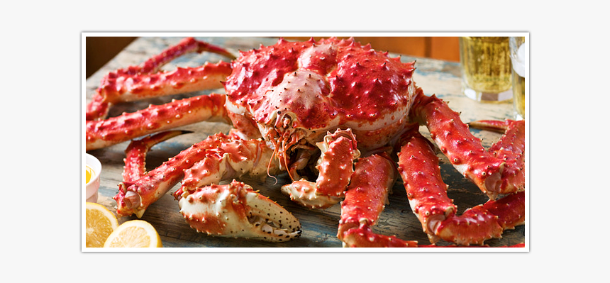 Detail King Crab Png Nomer 30