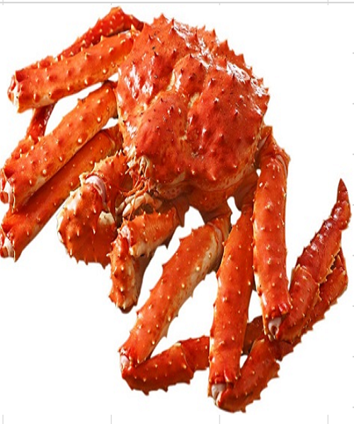 Detail King Crab Png Nomer 53