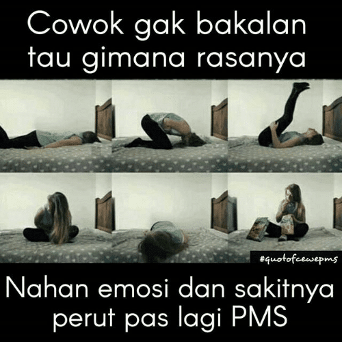 Detail Meme Wanita Pms Nomer 2