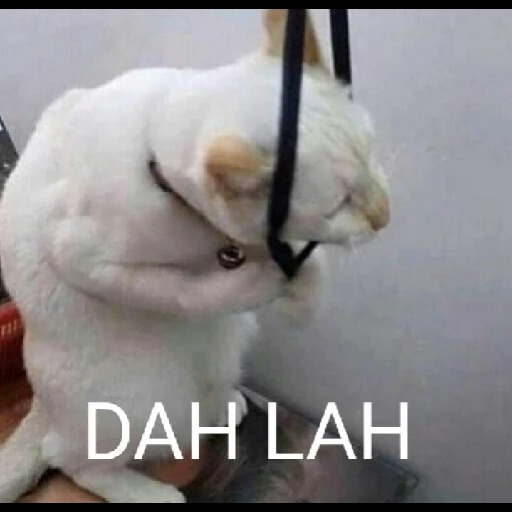 Detail Meme Whatsapp Lucu Nomer 47