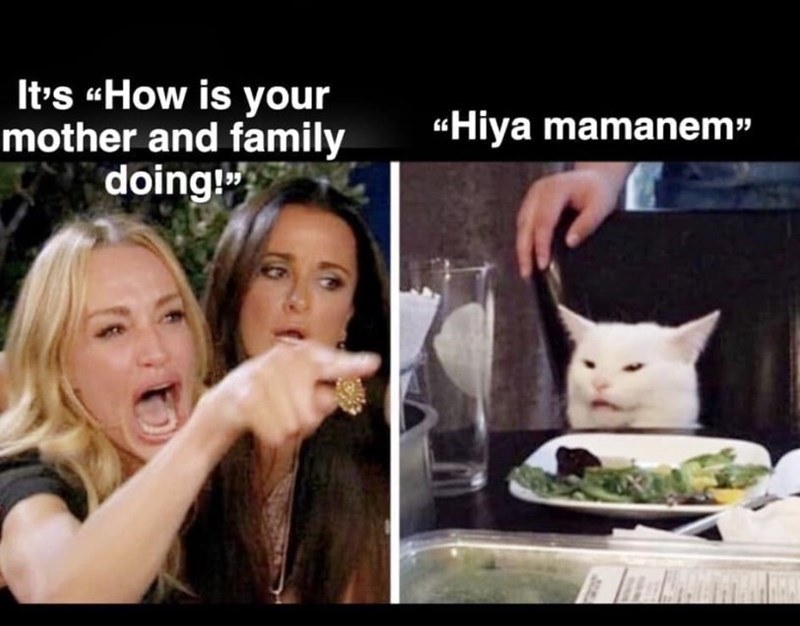 Detail Meme Woman Yelling At Cat Nomer 20