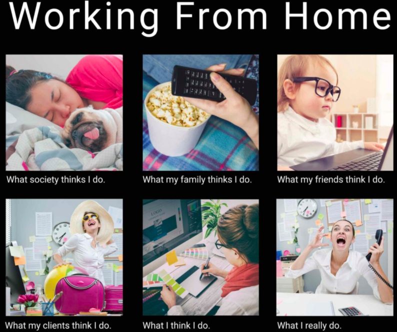Meme Work From Home - KibrisPDR