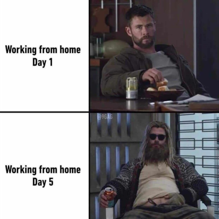 Detail Meme Work From Home Nomer 2