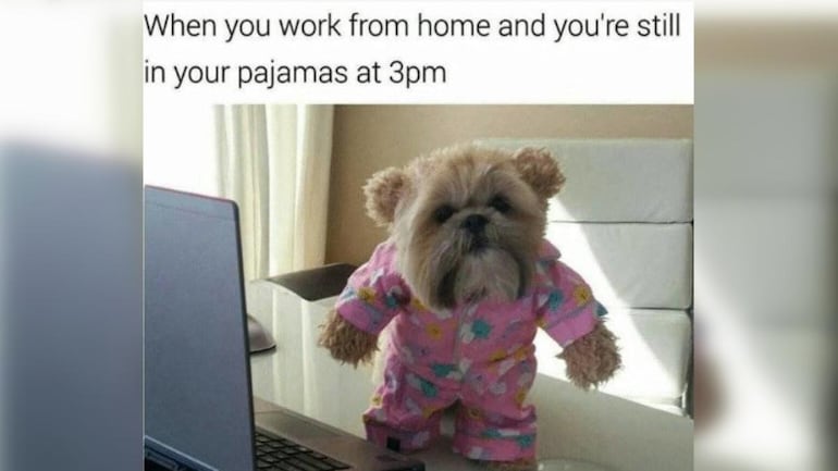 Detail Meme Work From Home Nomer 3