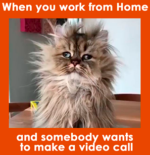 Detail Meme Work From Home Nomer 25