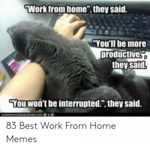 Detail Meme Work From Home Nomer 33