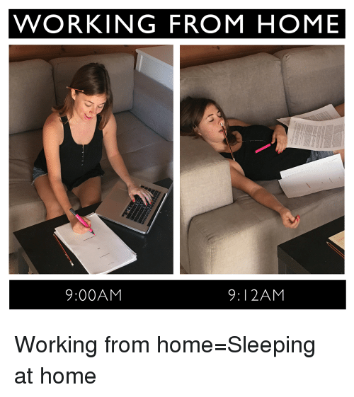 Detail Meme Work From Home Nomer 5