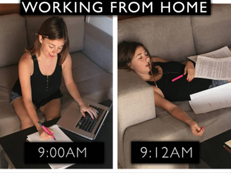 Detail Meme Work From Home Nomer 49