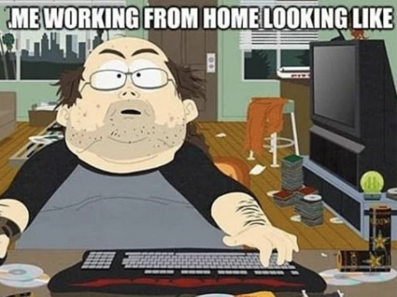 Detail Meme Work From Home Nomer 7