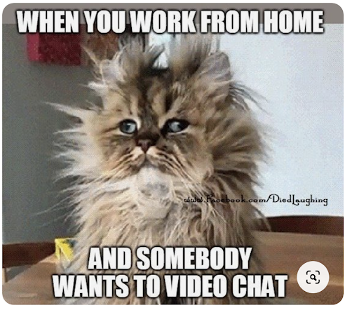 Detail Meme Work From Home Nomer 8
