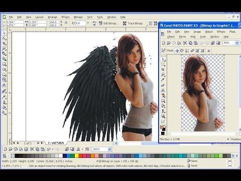 Detail Memisahkan Gambar Corel Nomer 37