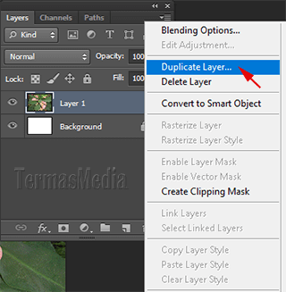 Detail Memnyalin Gambar Lewat Photoshop Nomer 21