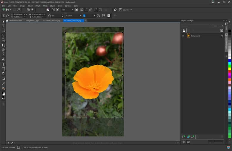 Detail Memotong Gambar Corel Nomer 38