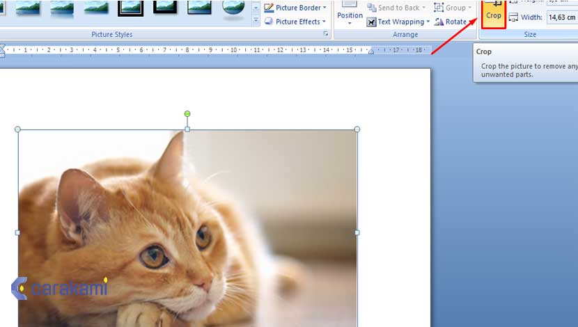 Detail Memotong Gambar Dalam Ms Word Nomer 16