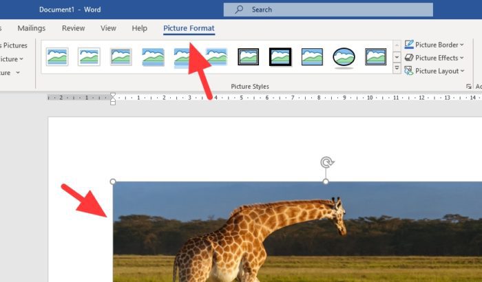 Detail Memotong Gambar Dalam Ms Word Nomer 39