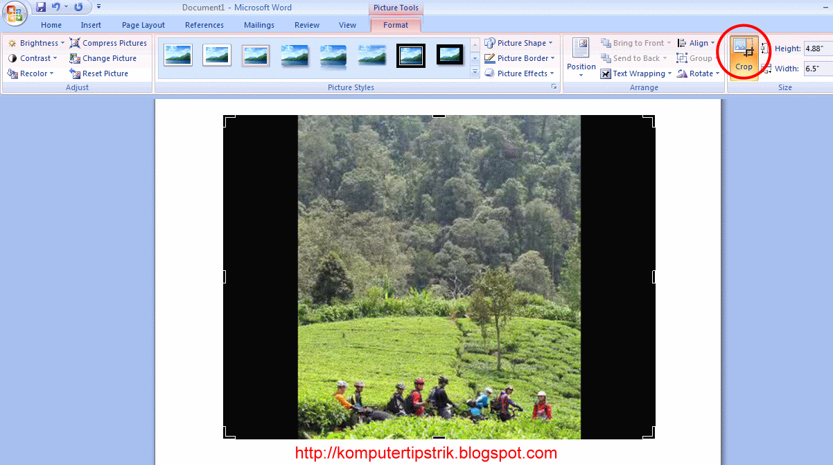 Detail Memotong Gambar Di Ms Word Nomer 19