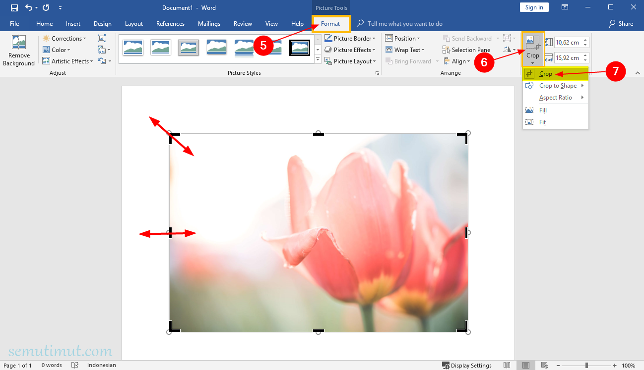 Detail Memotong Gambar Di Ms Word Nomer 4