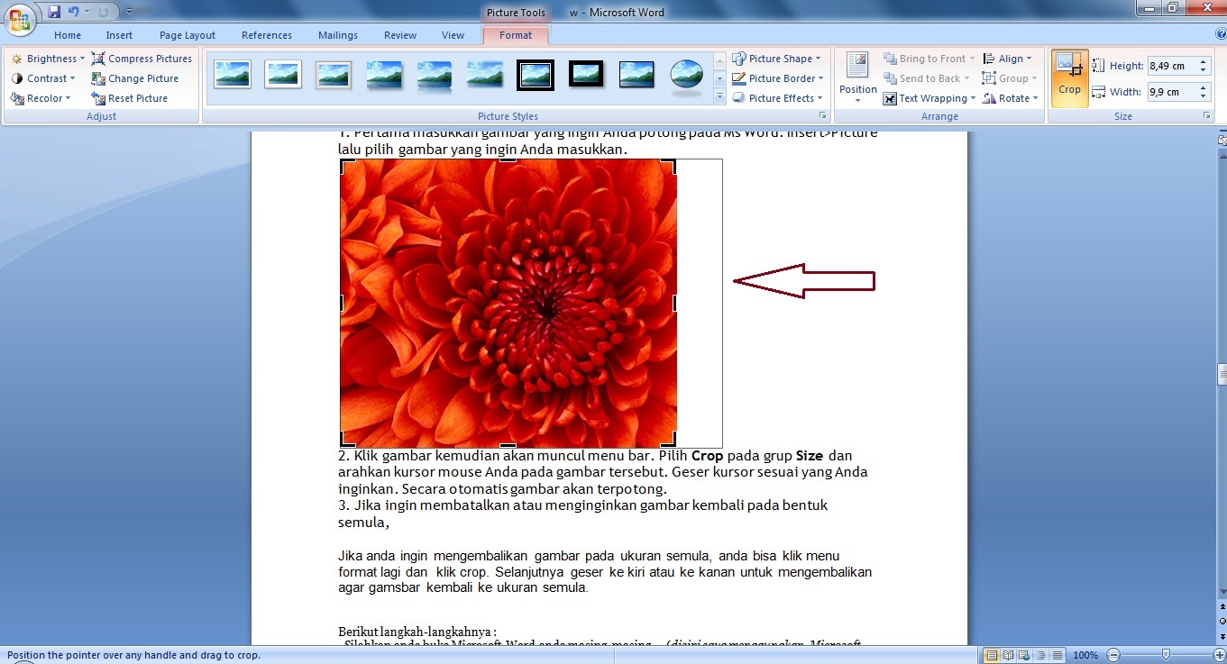 Detail Memotong Gambar Di Ms Word Nomer 34