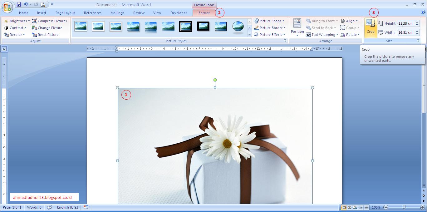 Detail Memotong Gambar Di Ms Word Nomer 38