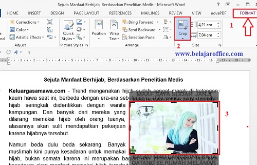 Detail Memotong Gambar Di Ms Word Nomer 54