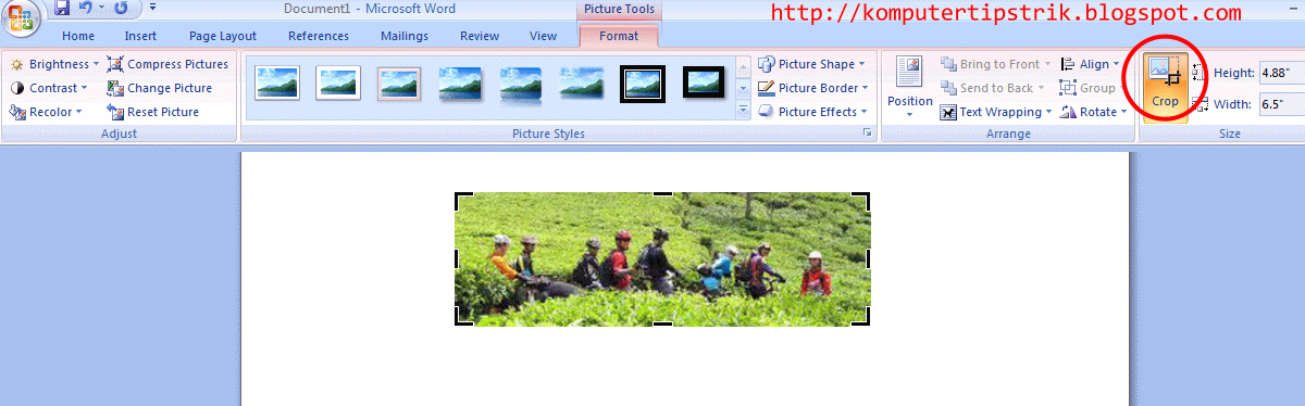 Detail Memotong Gambar Di Ms Word Nomer 56