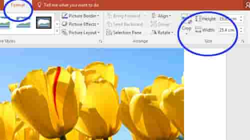 Detail Memotong Gambar Di Power Point Nomer 12