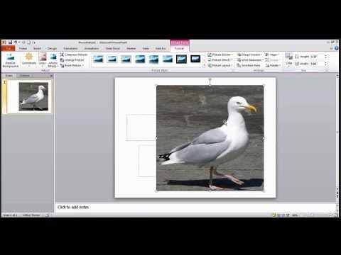 Detail Memotong Gambar Di Power Point Nomer 36