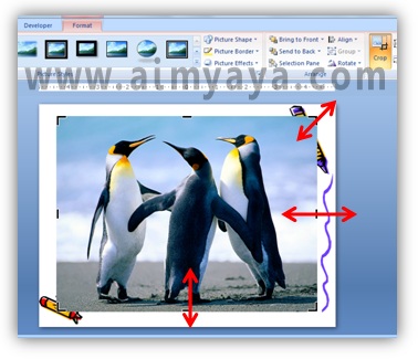 Detail Memotong Gambar Di Power Point Nomer 52