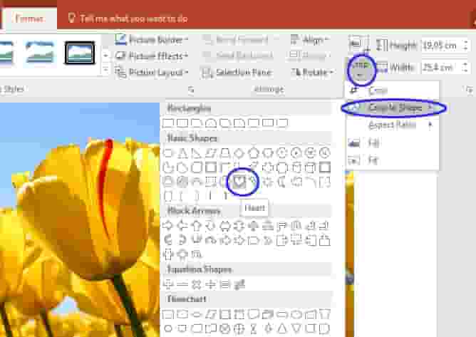Detail Memotong Gambar Di Power Point Nomer 7