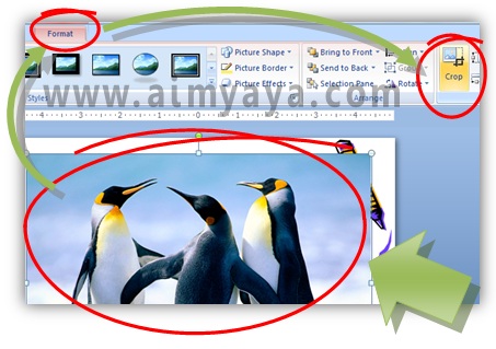 Detail Memotong Gambar Di Power Point Nomer 10
