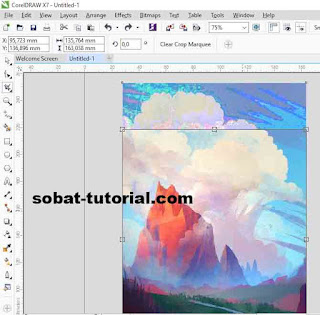 Detail Memotong Gambar Sesuai Bentuk Dengan Corel Draw Nomer 43