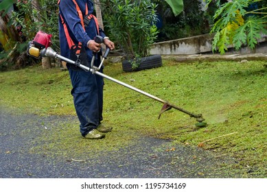 Detail Memotong Rumput In English Nomer 14