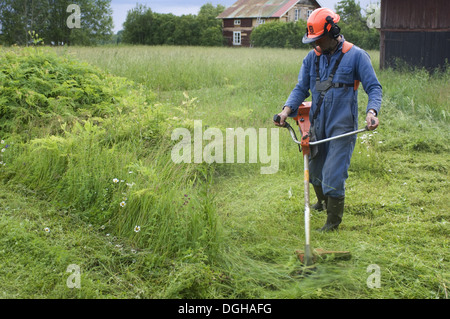 Detail Memotong Rumput In English Nomer 24