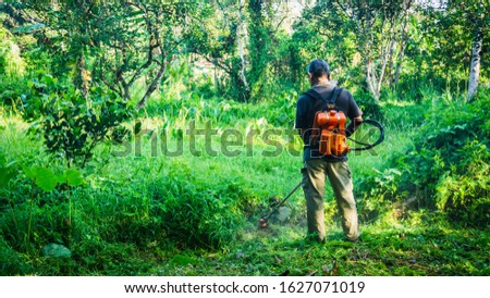 Detail Memotong Rumput In English Nomer 43