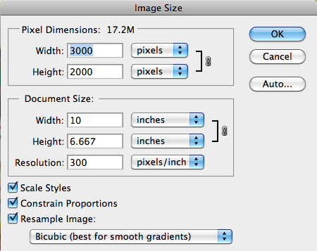 Detail Memperbesar Gambar Di Photoshop Nomer 18