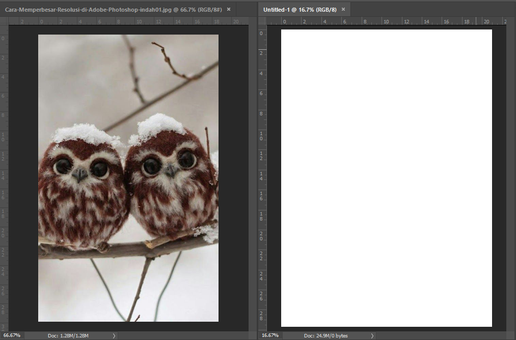 Detail Memperbesar Gambar Di Photoshop Nomer 49