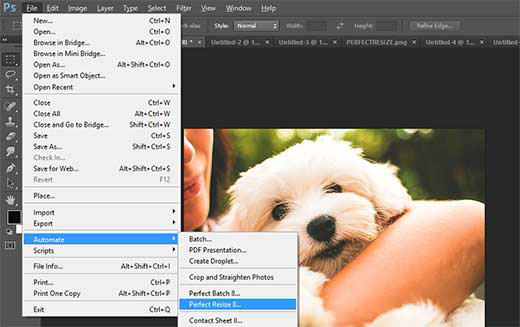 Detail Memperbesar Gambar Di Photoshop Nomer 53